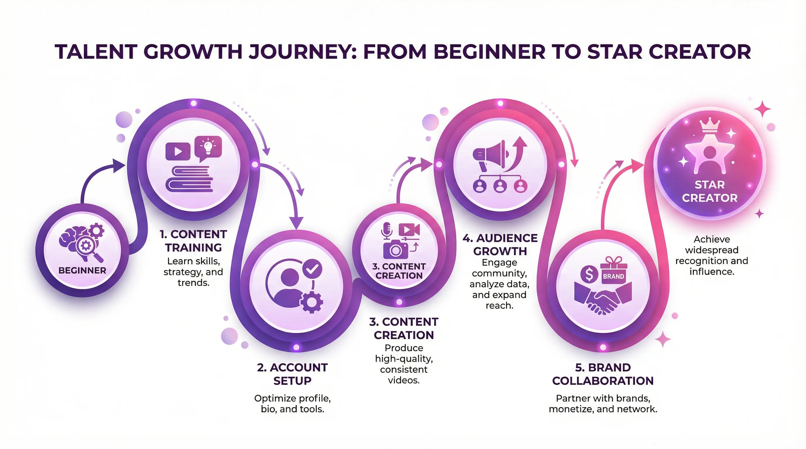 17c达人成长路径可视化图表 - 从新手到明星达人的完整孵化流程